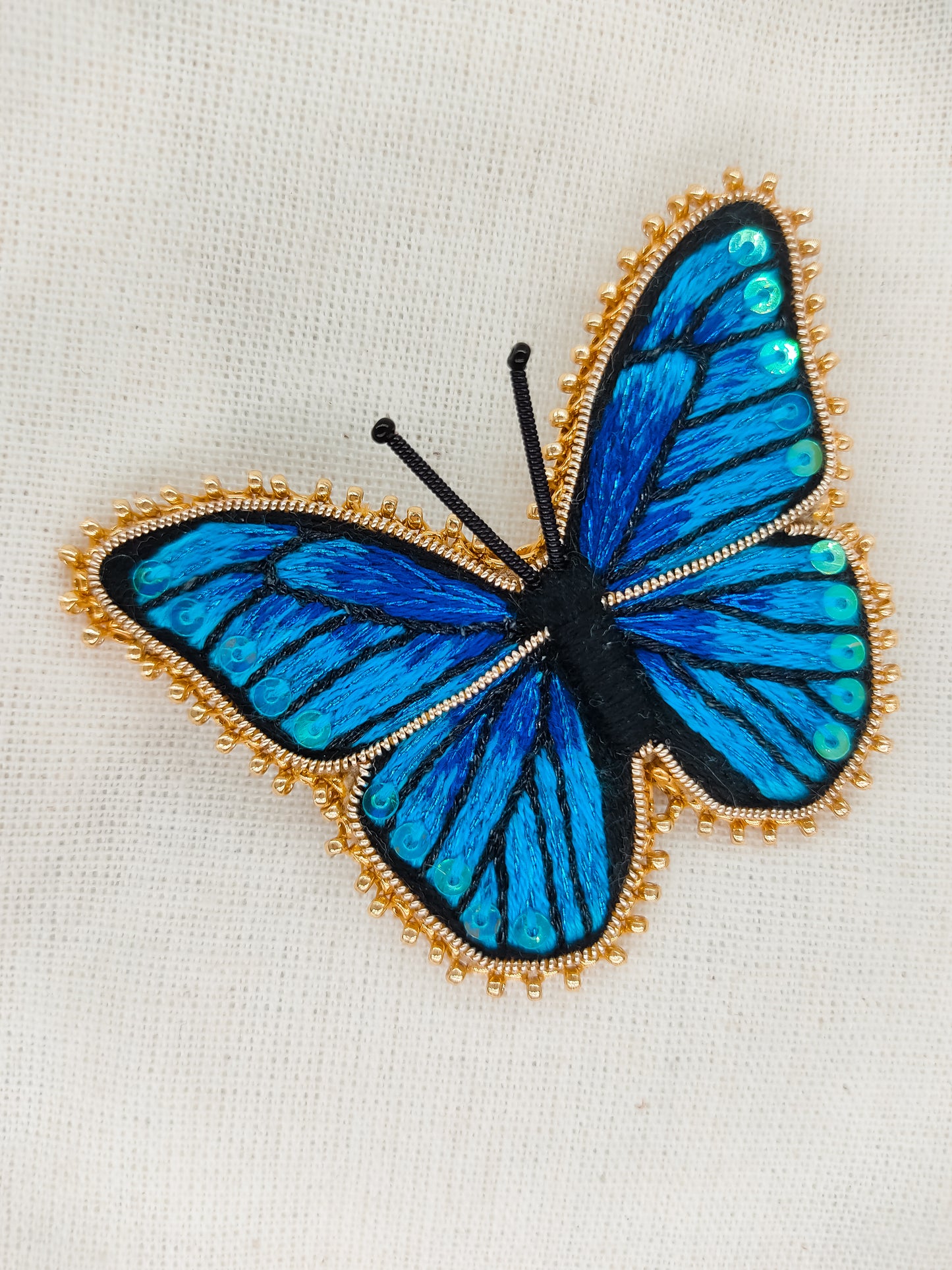 Broche Morpho